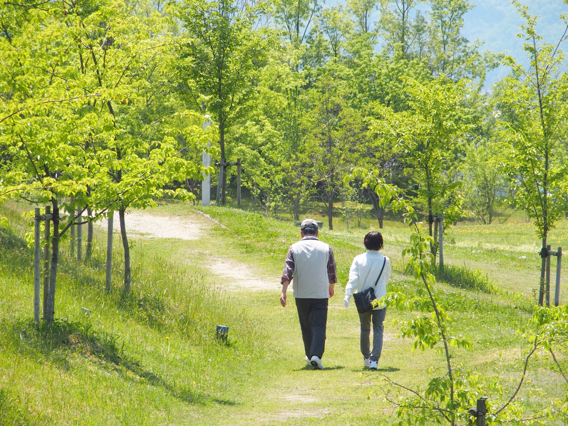 ウォーキングがすべてを変える!正しい歩き方を覚えることですべてが治る?!そんな歩き方知りたくありませんか?